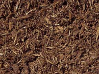 Pine Mulch